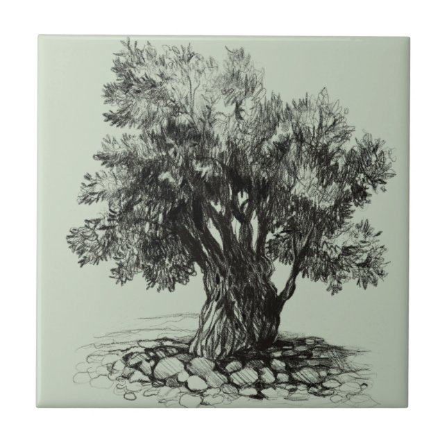 Old olive tree ceramic tile (Front)