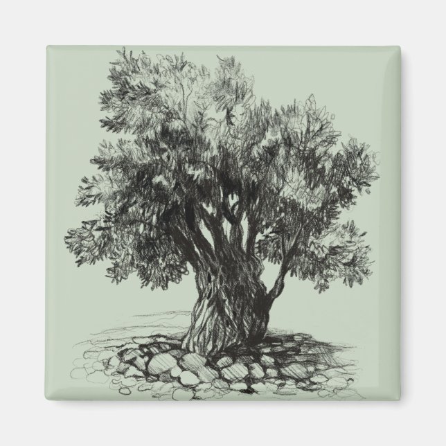 Old olive tree magnet (Front)