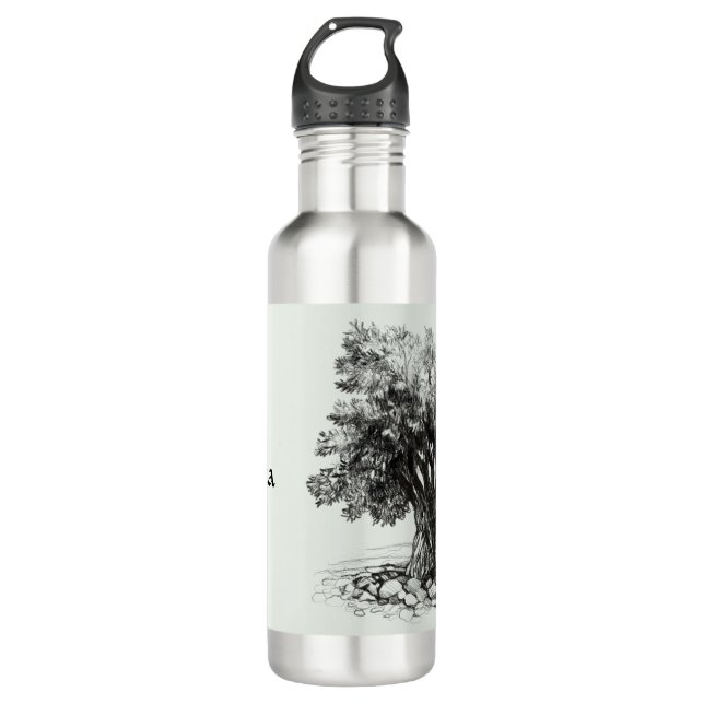 Old Olive tree Stainless Steel Water Bottle (Front)
