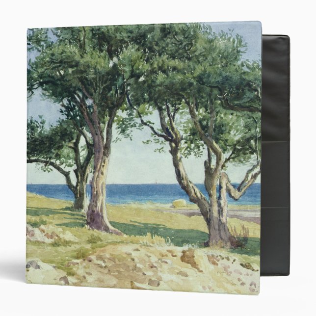 Old Olive Trees, Bordighera 3 Ring Binder (Front/Inside)
