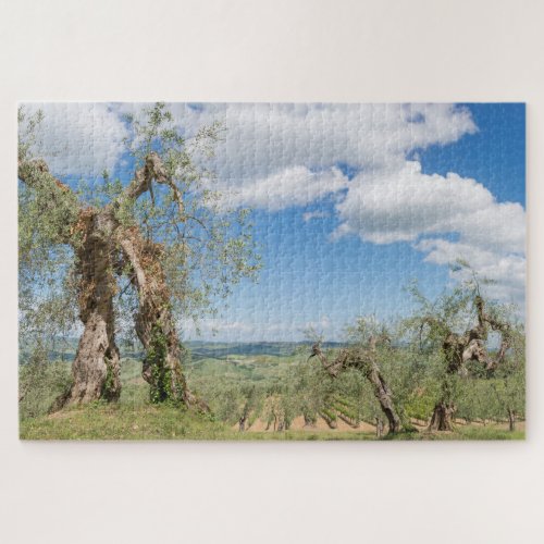 Old olive trees in a landscape in Tuscany Jigsaw Puzzle