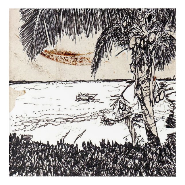 Old Paper Coconut Tree, Bahamas Acrylic Print (Front)