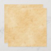 Old Parchment Background Stained Mottled Look (Front/Back)