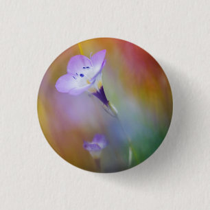 Old Point Loma Lighthouse   Cabrillo Monument Button