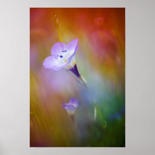 Old Point Loma Lighthouse | Cabrillo Monument Poster (Front)