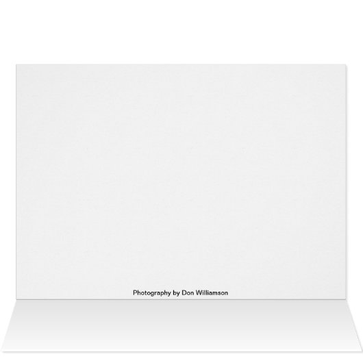 Old Point Loma Lightstation (Inside Horizontal (Top))