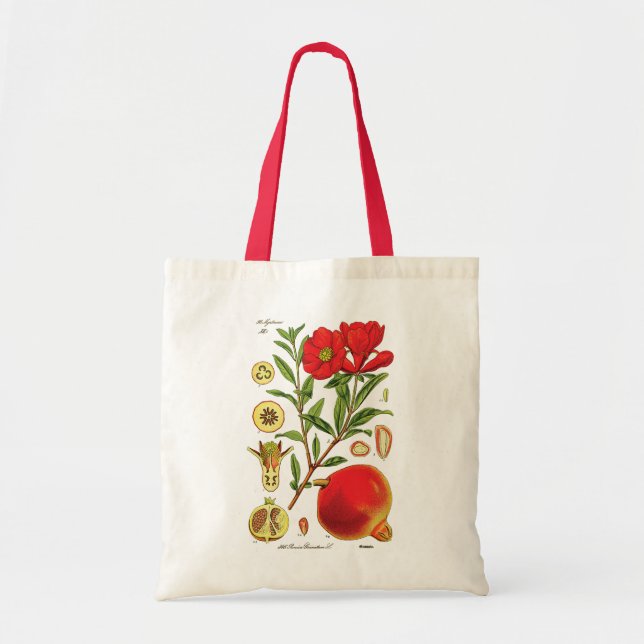 Old Pomegranate Illustration Tote Bag (Front)