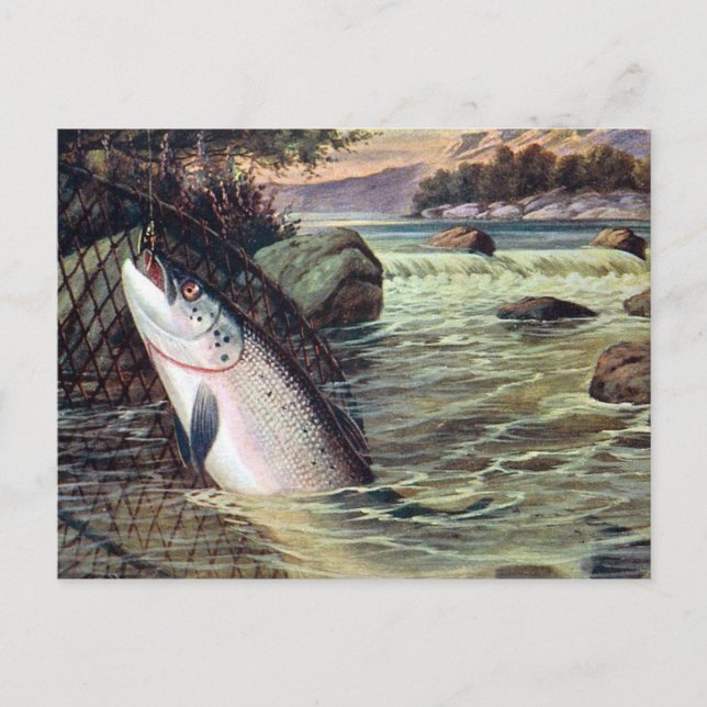 Old Postcard - A Salmon Landed (Front)