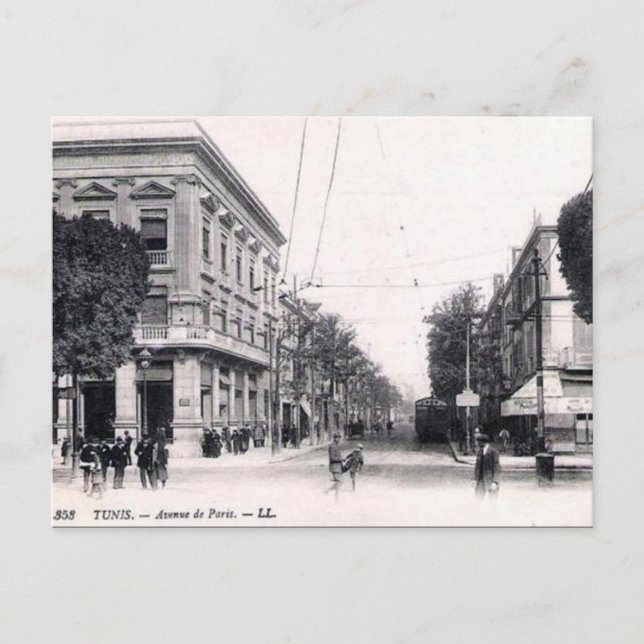 Old Postcard - Avenue de Paris, Tunis (Front)