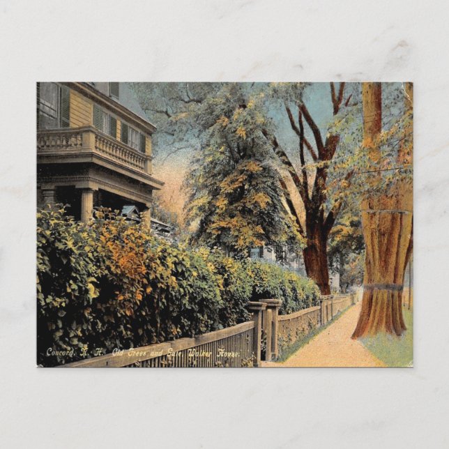 Old Postcard - Concord New Hampshire (Front)