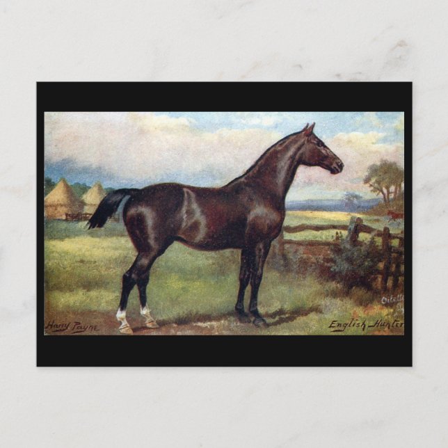 Old Postcard - English Hunter (Front)