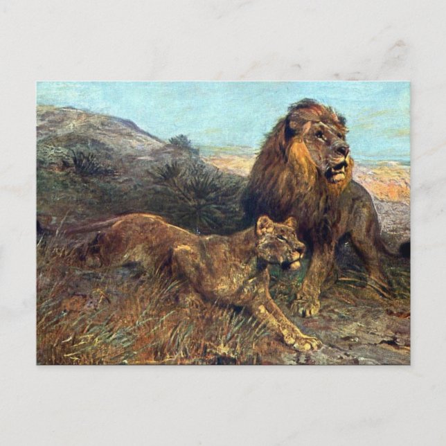 Old Postcard - Lions (Front)