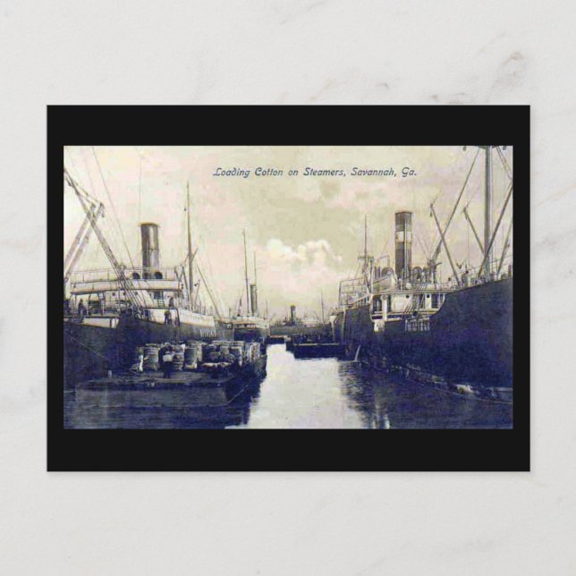 Old Postcard, Loading Cotton, Savannah, Georgia Postcard (Front)