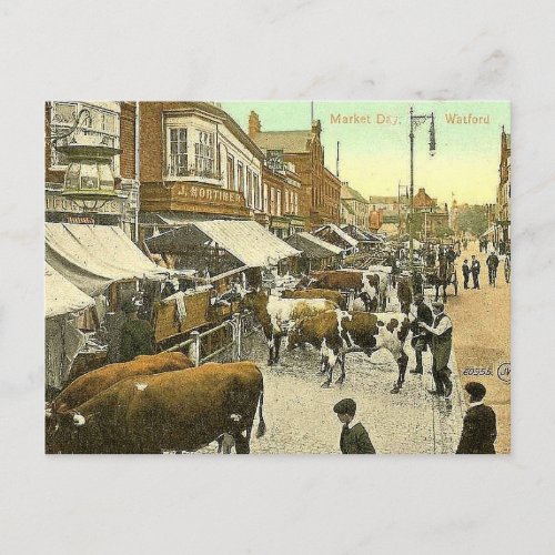 Old Postcard _ Market Day Watford Herts