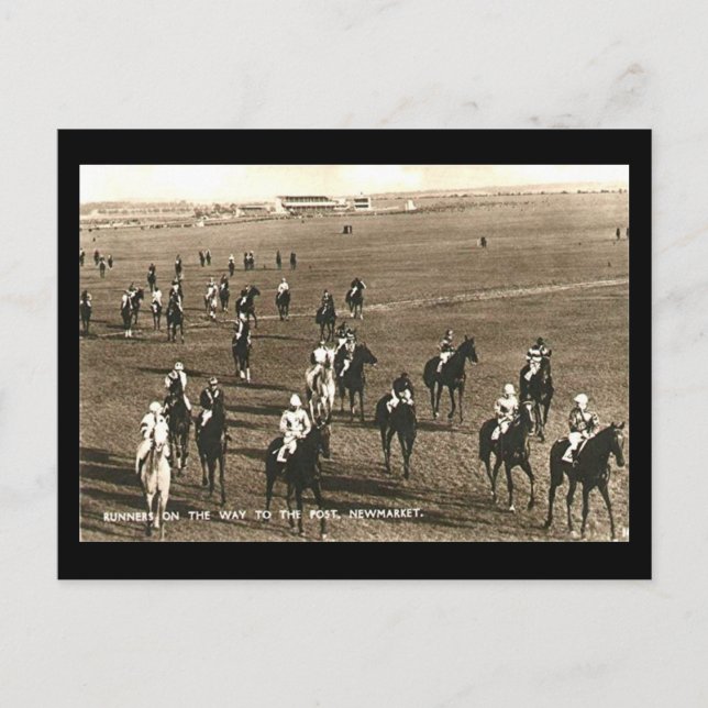 Old Postcard - Racehorses at Newmarket (Front)
