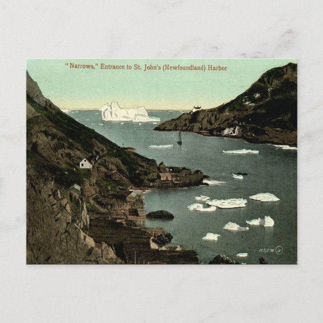 Old Postcard - St John's, Newfoundland (Front)