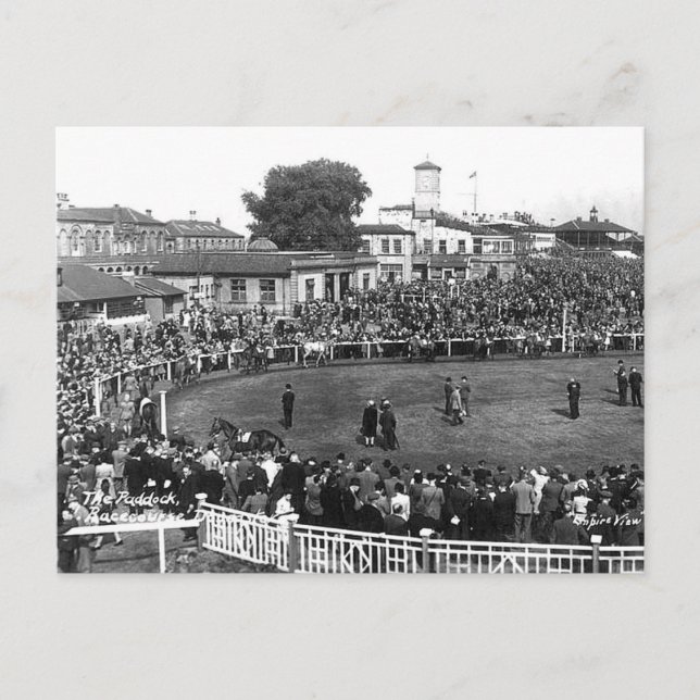 Old Postcard - The Paddock, Doncaster Racecourse (Front)