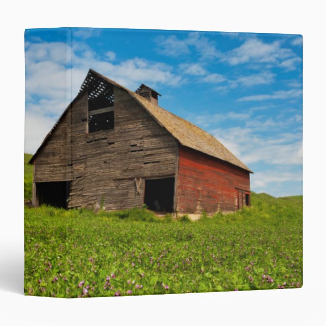 Old, red barn in field of chickpeas binder (Front/Spine)