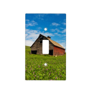 Old, red barn in field of chickpeas light switch cover