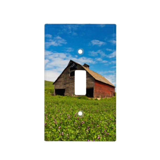 Old, red barn in field of chickpeas light switch cover (Front)