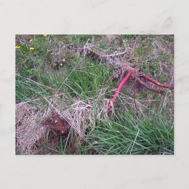 Old Red Bike Postcard (Front)