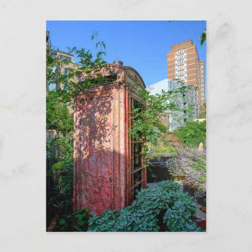 Old Red Telephone Box London Postcard