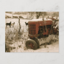 Old Red Tractor with Goats Christmas Postcard