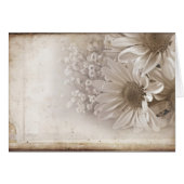 Old Romance (Front Horizontal)