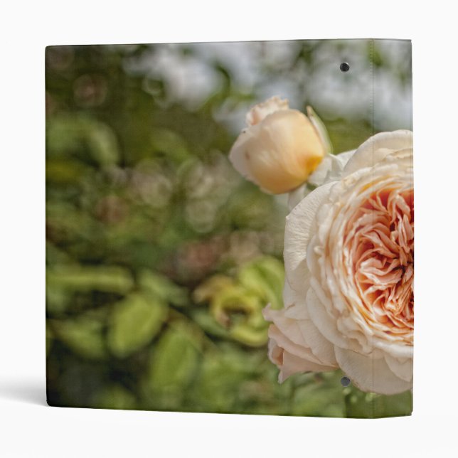 Old Rose Binder (Back/Spine)