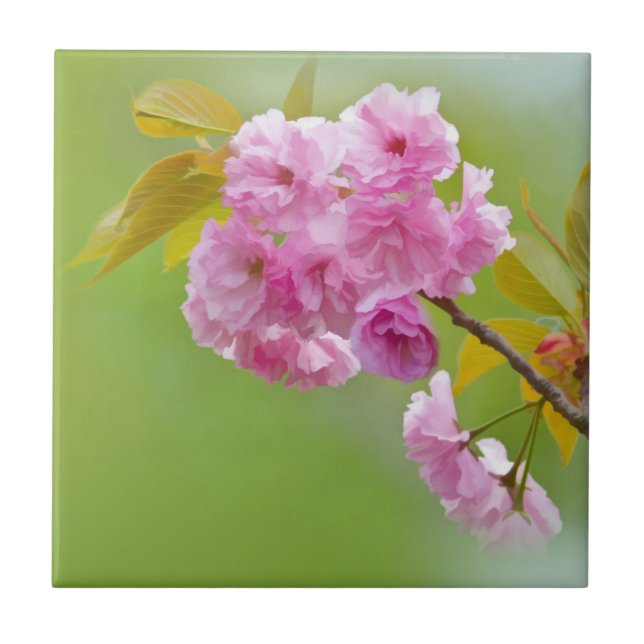 Old Roses Tile (Front)