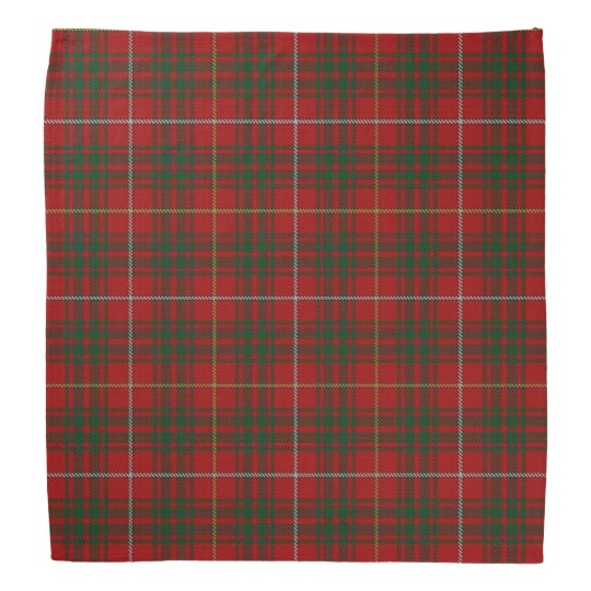 bruce tartan kilt
