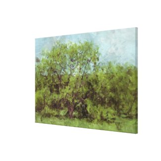 Old Shade Tree (Digital Painting from Photography) Stretched Canvas Print