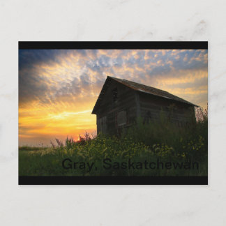 Old shed outside of Gray, Saskatchewan Postcard