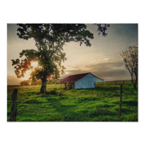 Old Shed Photo Print