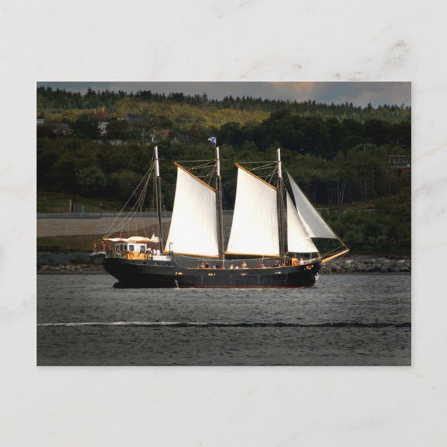 Old ship postcard (Front)