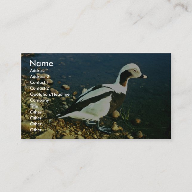 Old Squaw Business Card (Front)