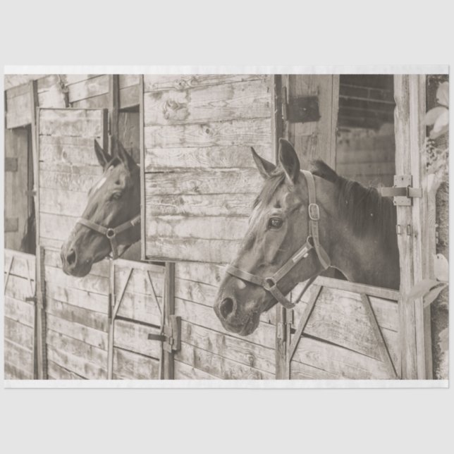 old stable horses tissue paper (Front)