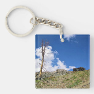 Old Stone Cabin at Gaylor Lakes, Tioga Pass, CA Keychain