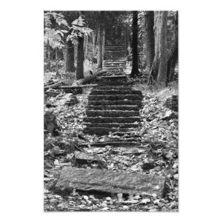 Old Stone Steps Photo Print