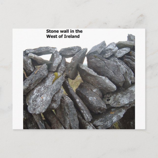 Old stone walls in Ireland Postcard (Front)