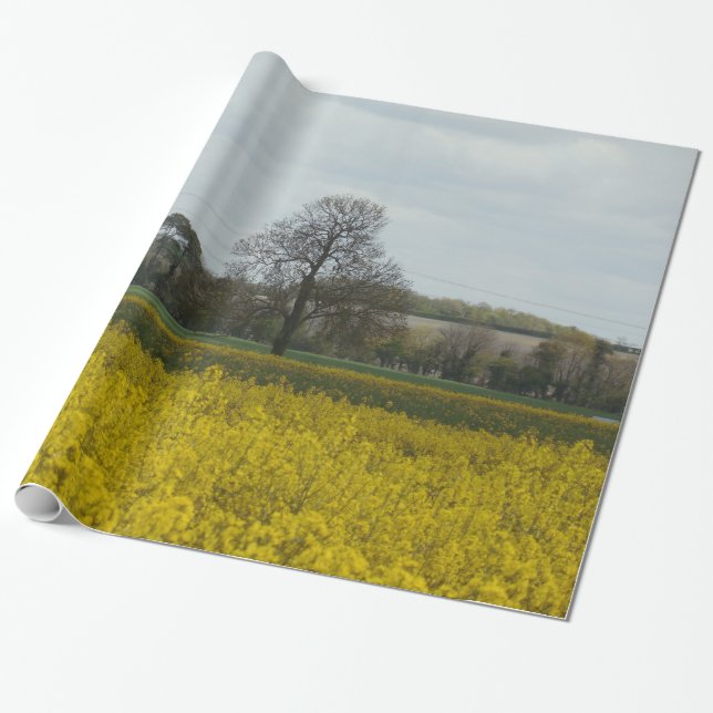 Old style photo landscape wrapping paper (Unrolled)