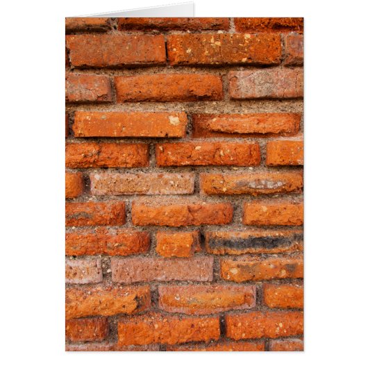 Old Terracotta Brick (Front)