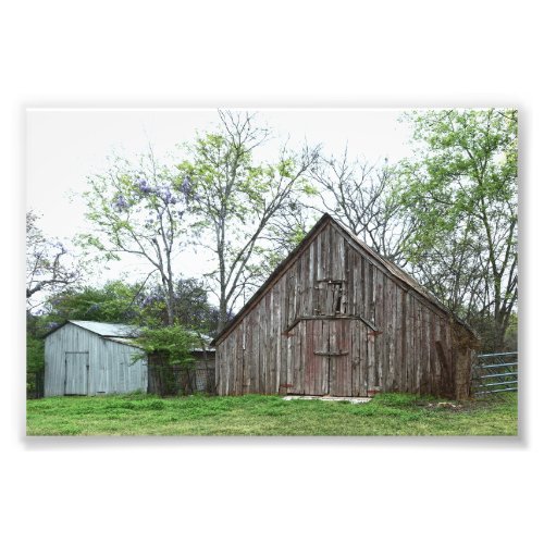 Old Texas Barn and Shed Photo Print