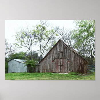 Old Texas Barn And Shed Poster by catherinesherman at Zazzle