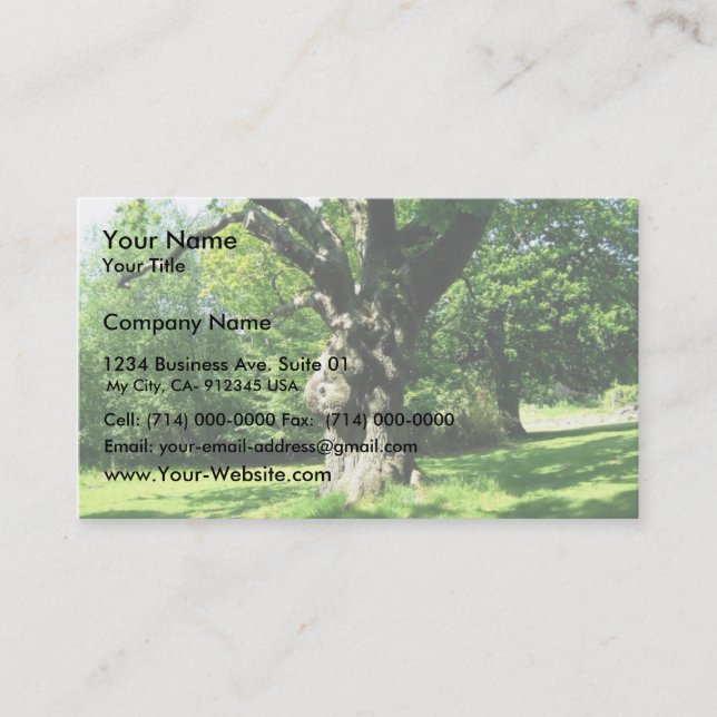 Old Thick Oak Tree Business Card (Front)