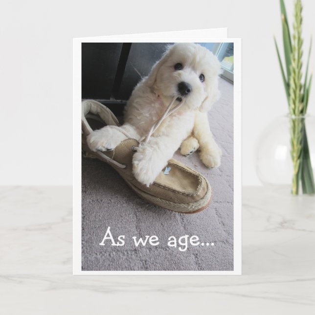 Old Timer Birthday, Cute Goldendoodle pup Humor Card (Front)