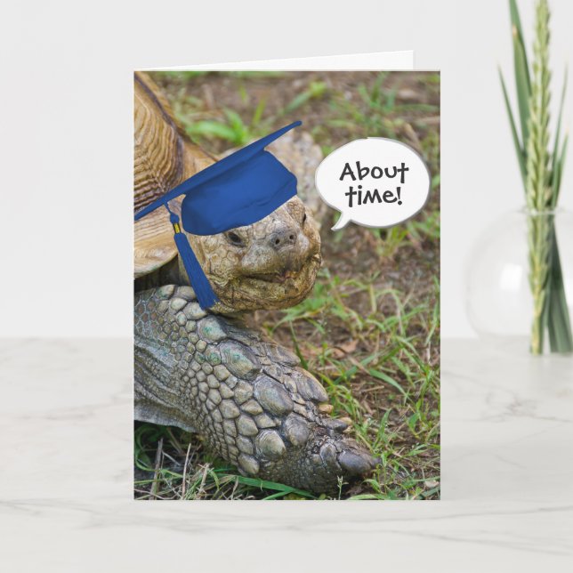 Old Tortoise Graduate with Blue Cap Card (Front)