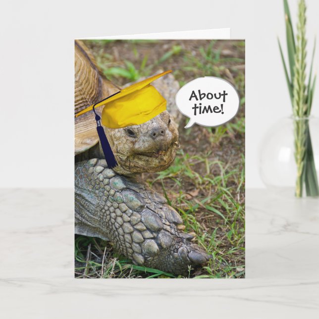 Old Tortoise Graduate with Gold Cap Card (Front)