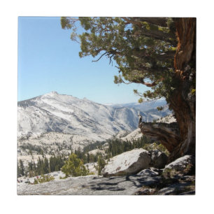 Old Tree at Yosemite National Park Ceramic Tile