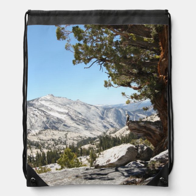 Old Tree at Yosemite National Park Drawstring Bag (Front)
